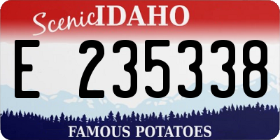 ID license plate E235338