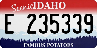 ID license plate E235339