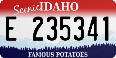ID license plate E235341