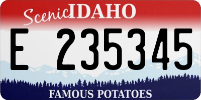 ID license plate E235345