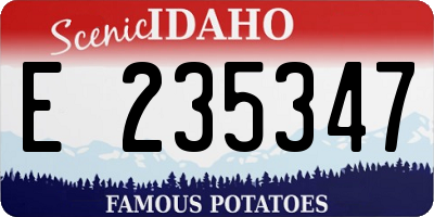 ID license plate E235347