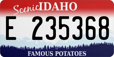 ID license plate E235368