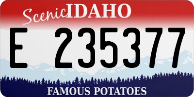 ID license plate E235377