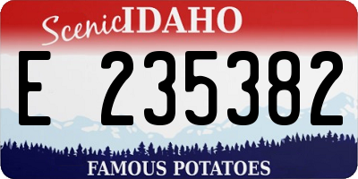 ID license plate E235382