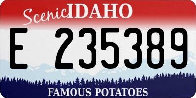 ID license plate E235389