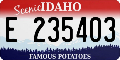 ID license plate E235403