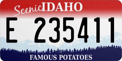 ID license plate E235411