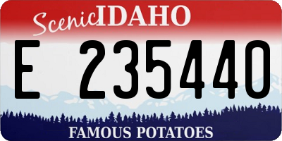 ID license plate E235440