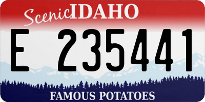 ID license plate E235441