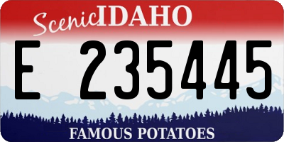 ID license plate E235445