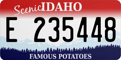 ID license plate E235448