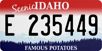 ID license plate E235449
