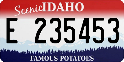 ID license plate E235453