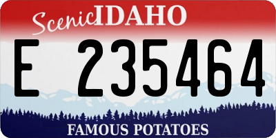 ID license plate E235464