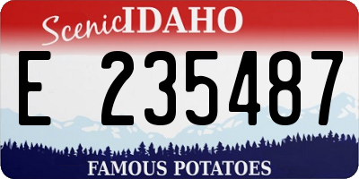 ID license plate E235487