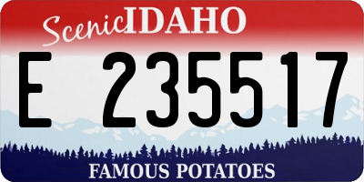 ID license plate E235517