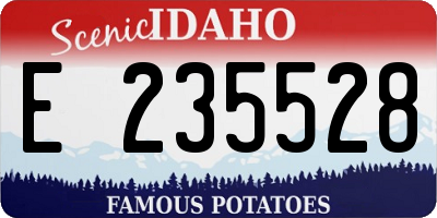 ID license plate E235528