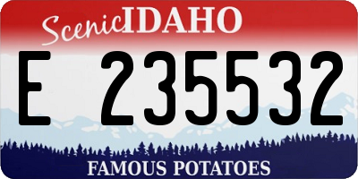 ID license plate E235532