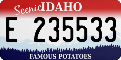 ID license plate E235533