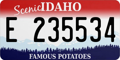 ID license plate E235534
