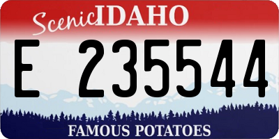 ID license plate E235544