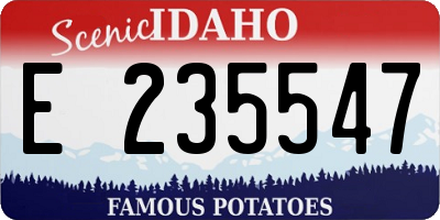 ID license plate E235547