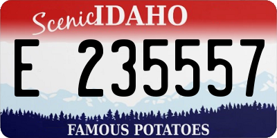 ID license plate E235557