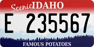 ID license plate E235567