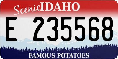 ID license plate E235568