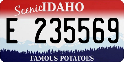 ID license plate E235569