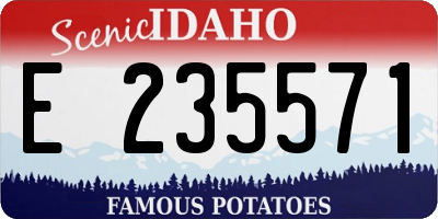 ID license plate E235571