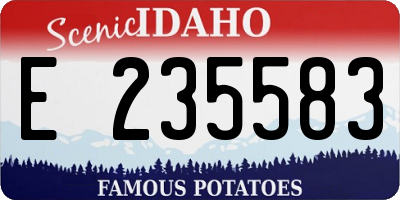 ID license plate E235583