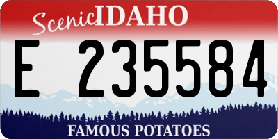 ID license plate E235584