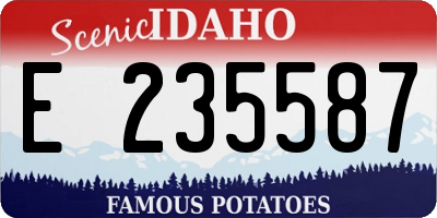 ID license plate E235587