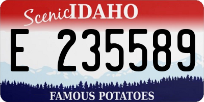 ID license plate E235589