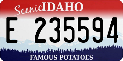 ID license plate E235594