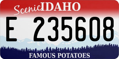 ID license plate E235608