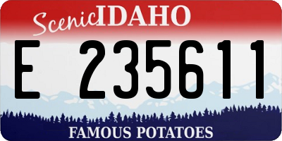 ID license plate E235611