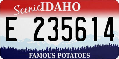 ID license plate E235614