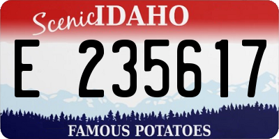 ID license plate E235617