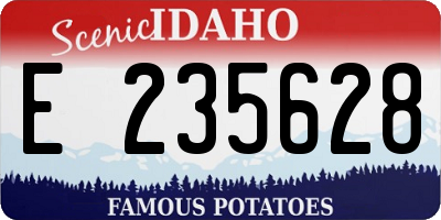 ID license plate E235628