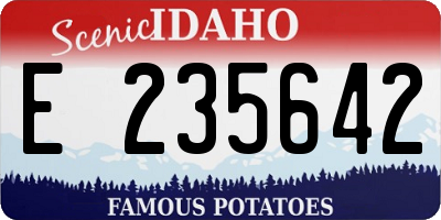 ID license plate E235642