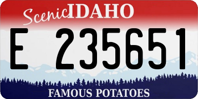 ID license plate E235651
