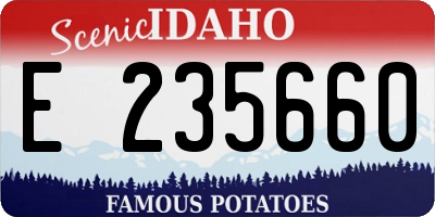 ID license plate E235660
