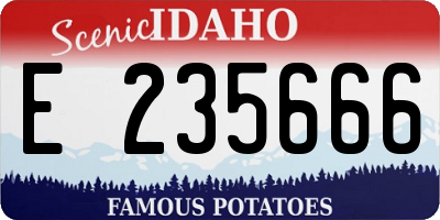 ID license plate E235666