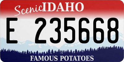 ID license plate E235668