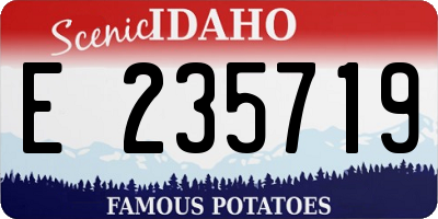 ID license plate E235719