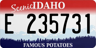ID license plate E235731