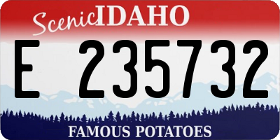 ID license plate E235732