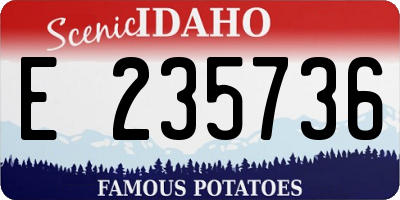 ID license plate E235736